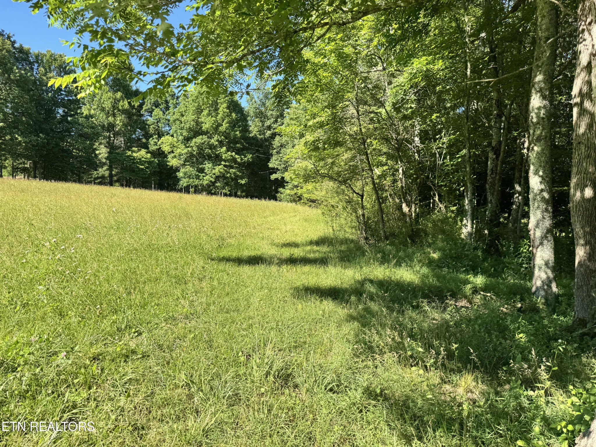 6986 S York Hwy Property Photo 53