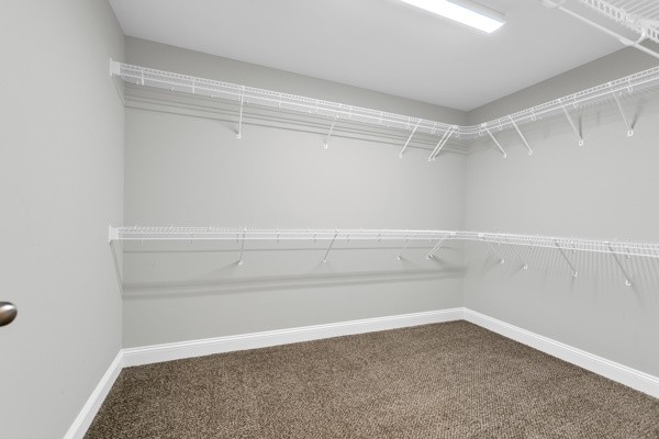 506 Latham Ct Property Photo 11