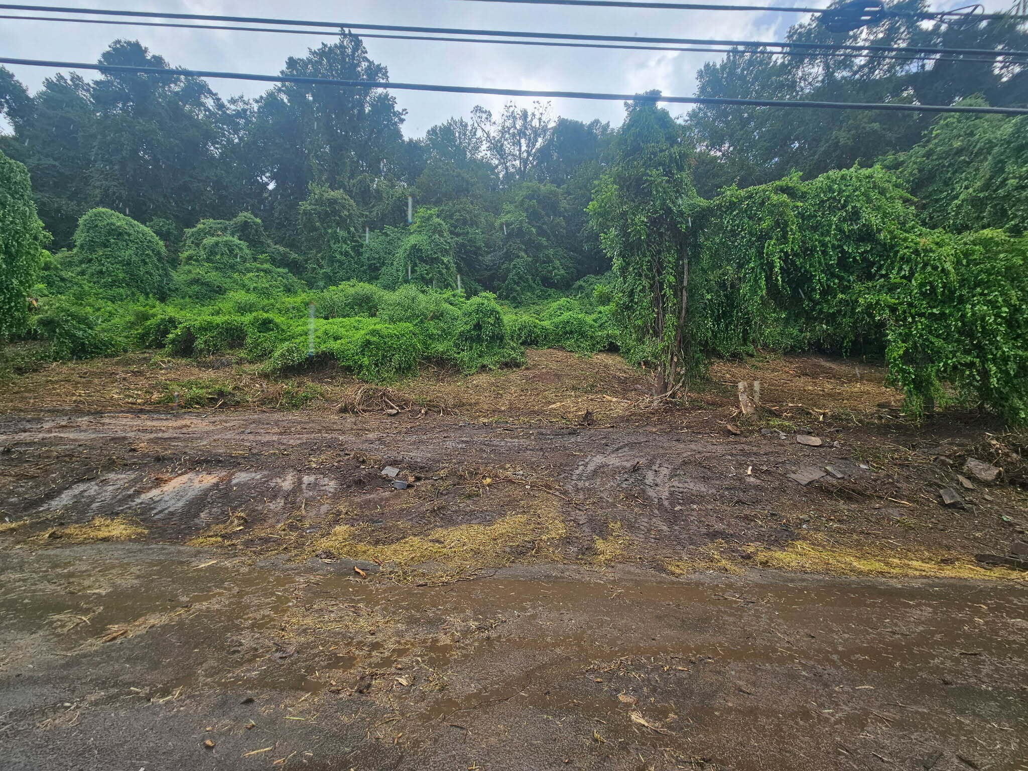 0 Old Jasper Road Property Photo 1