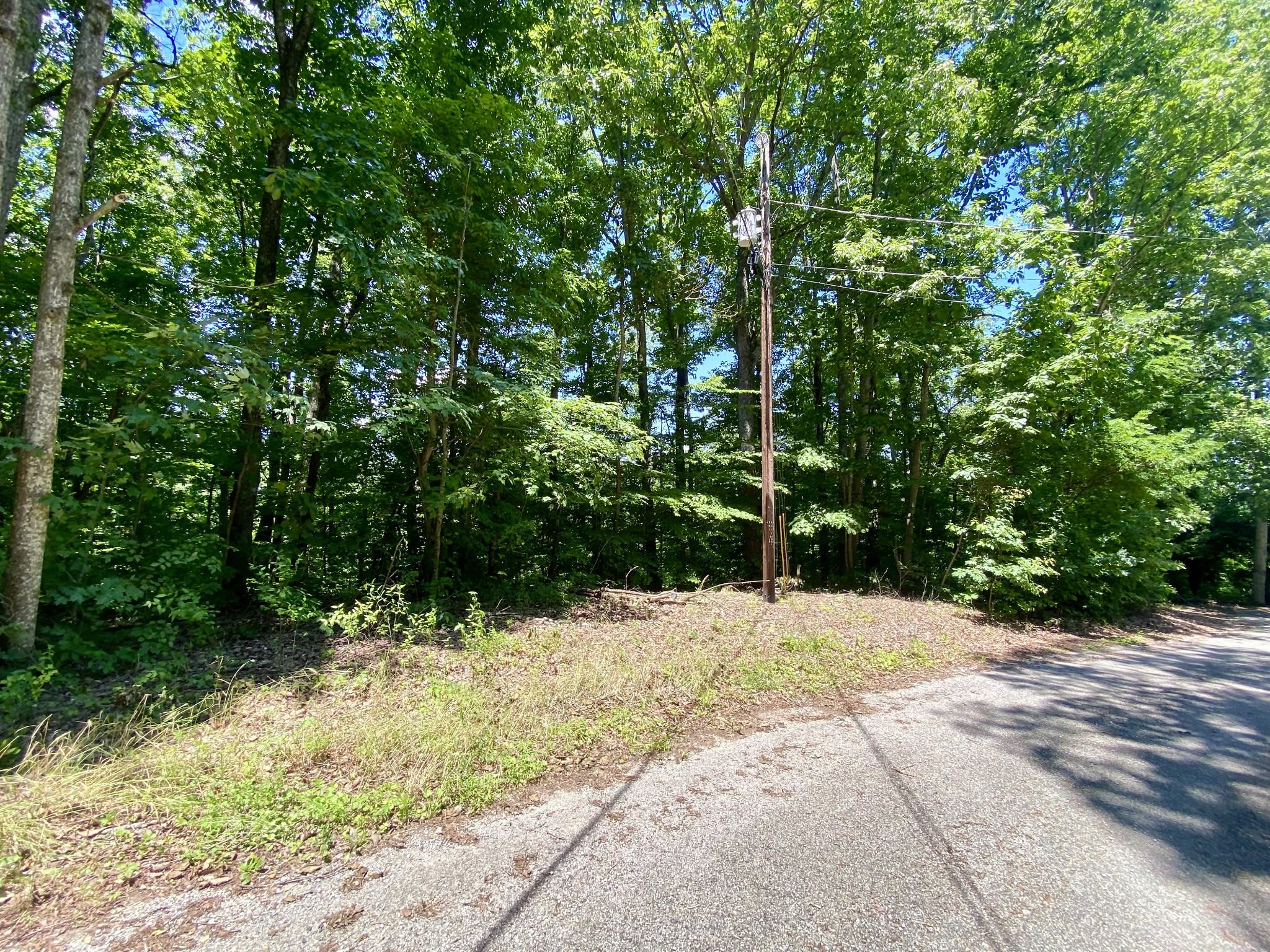 0 Dogwood Place Property Photo 1