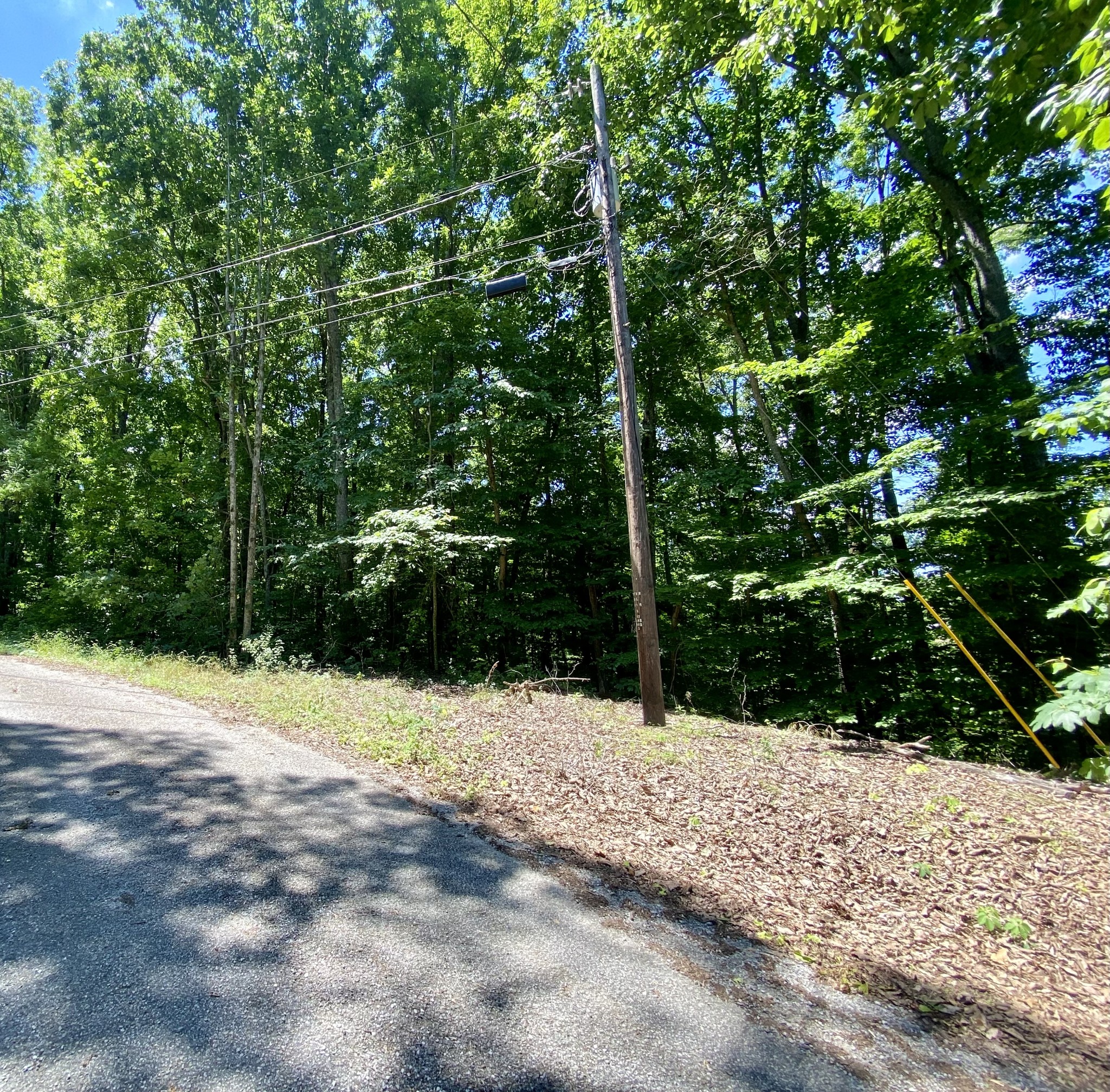 0 Dogwood Place Property Photo 2