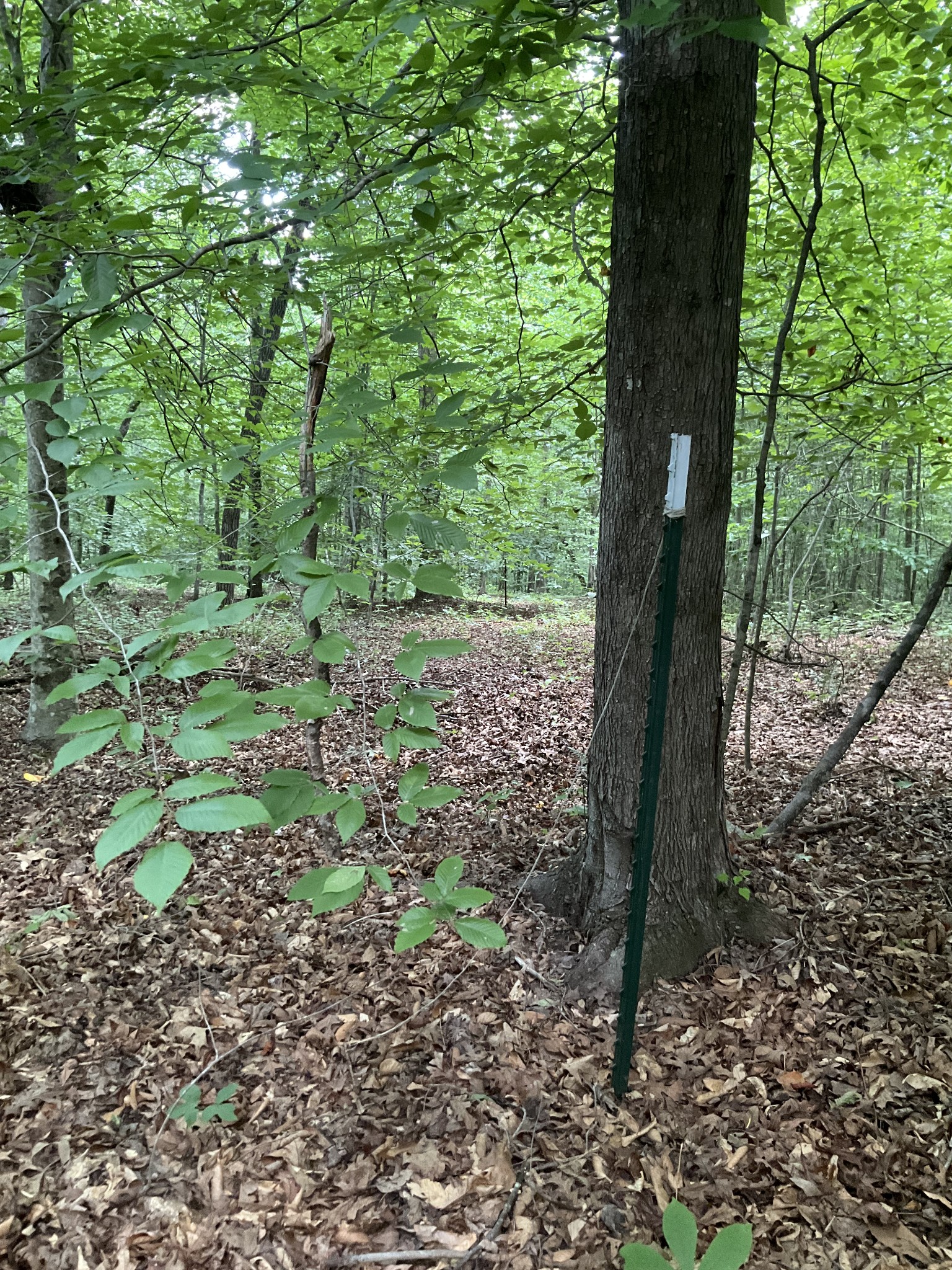 0 Fergus Ln Property Photo 8