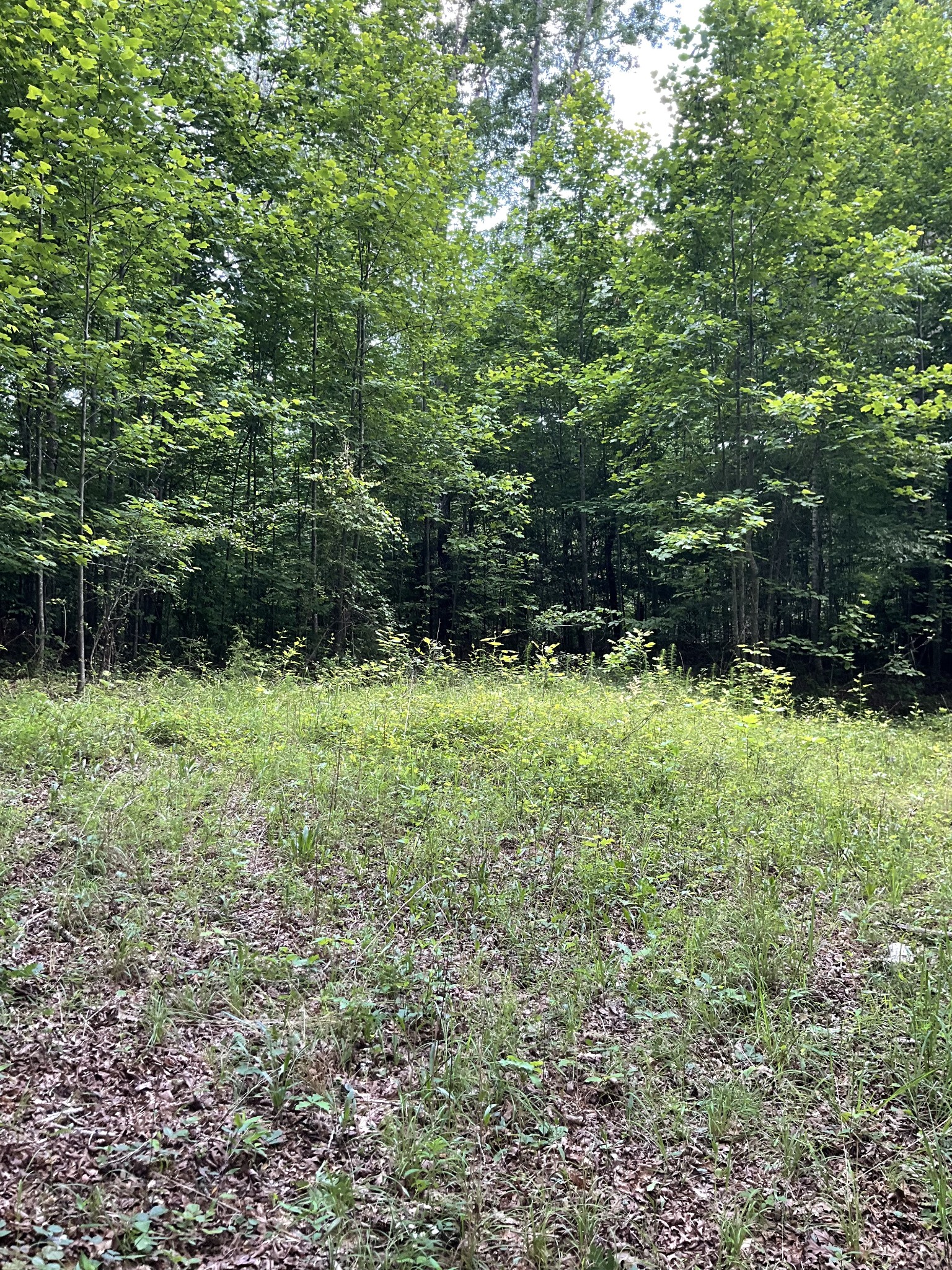 0 Fergus Ln Property Photo 9