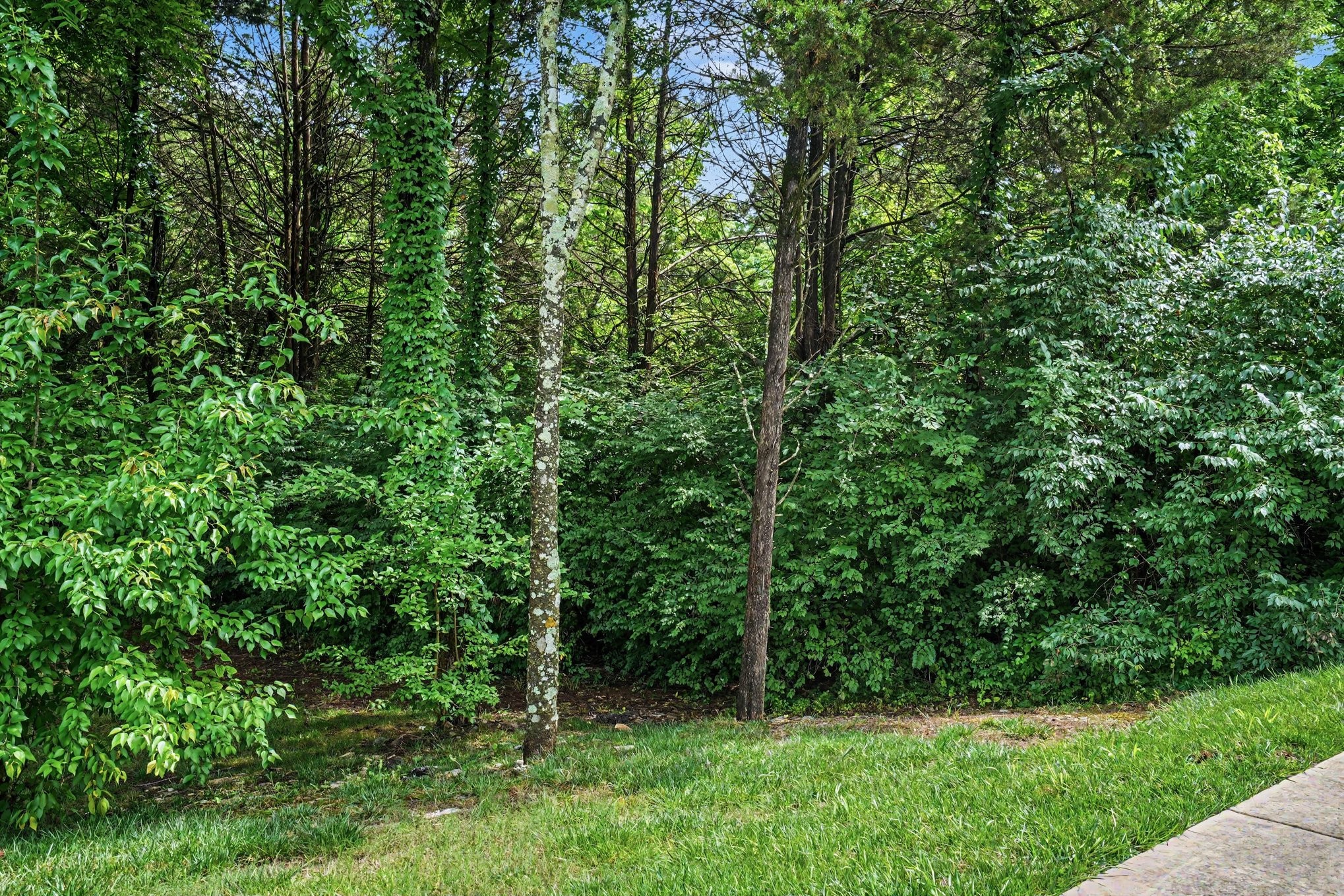 5986 Mount View Rd Property Photo 6