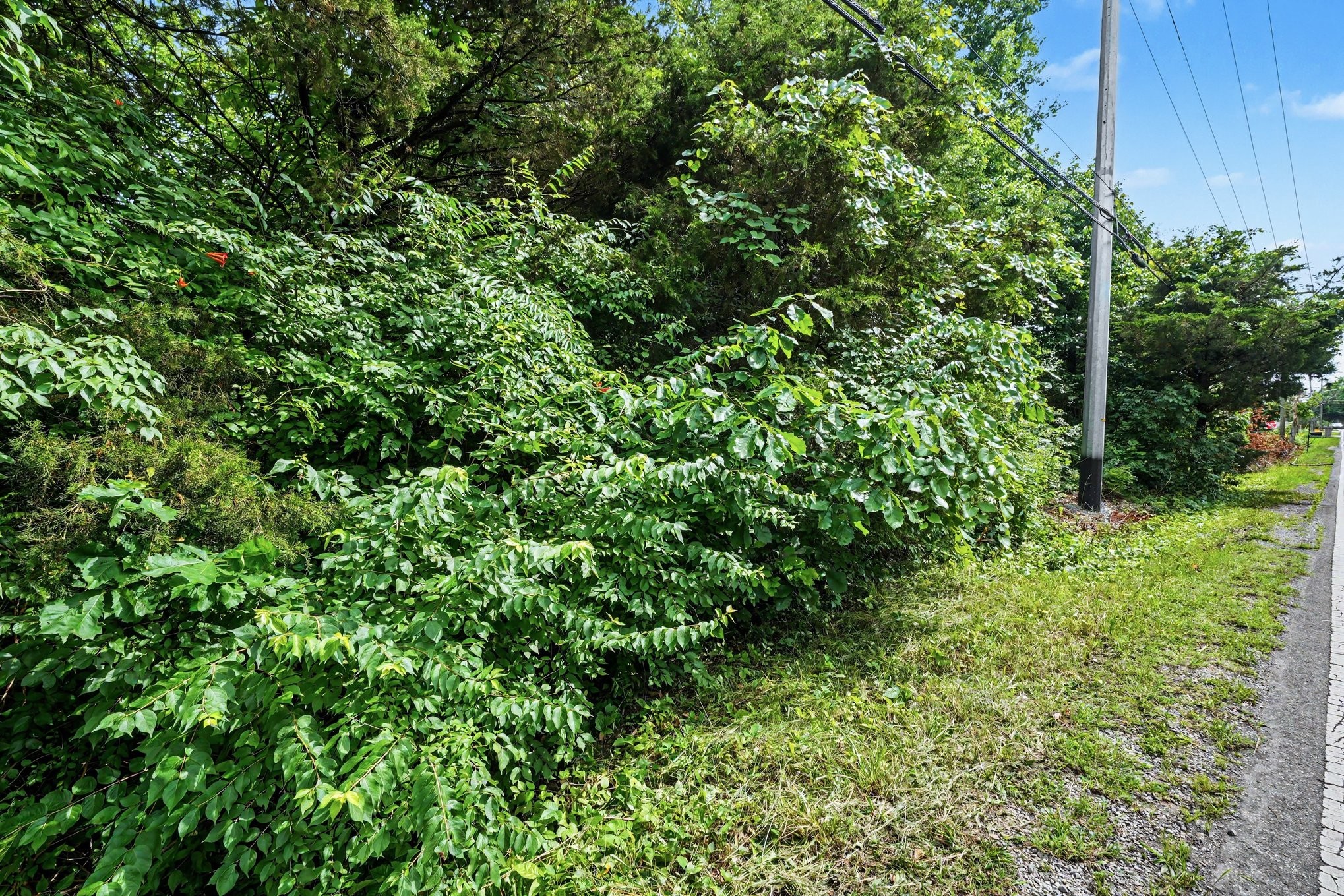 5986 Mount View Rd Property Photo 7