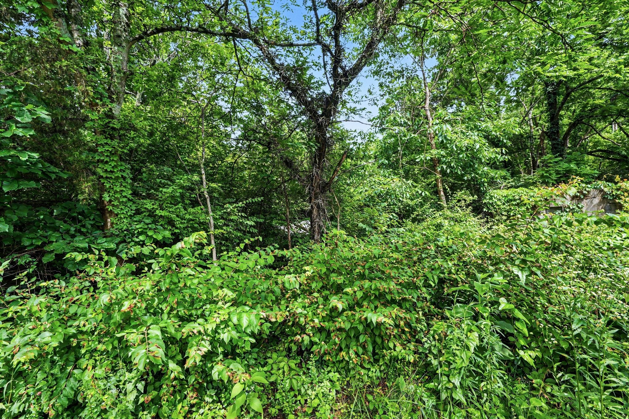 5986 Mount View Rd Property Photo 8