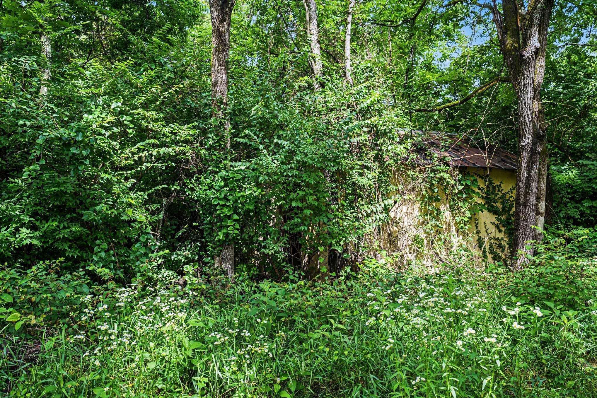 5986 Mount View Rd Property Photo 9