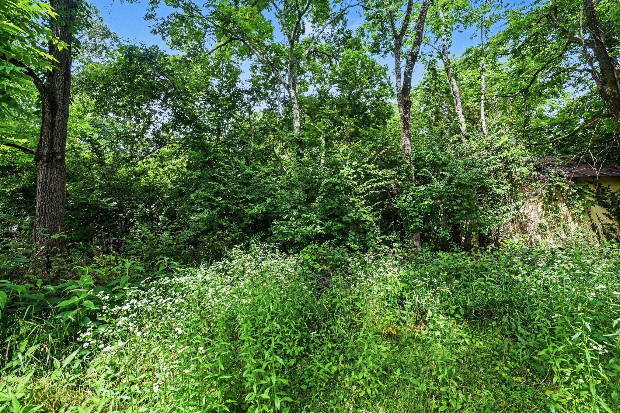 5986 Mount View Rd Property Photo 10