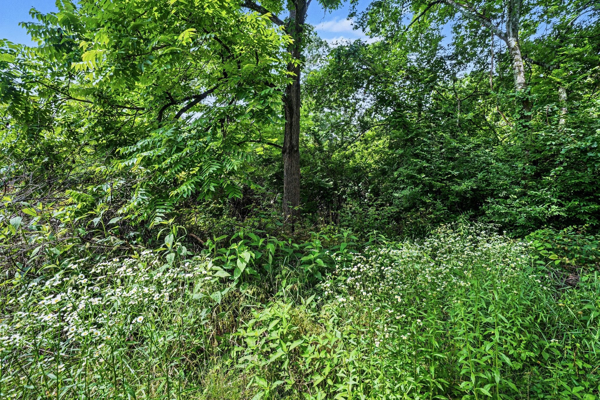 5986 Mount View Rd Property Photo 12