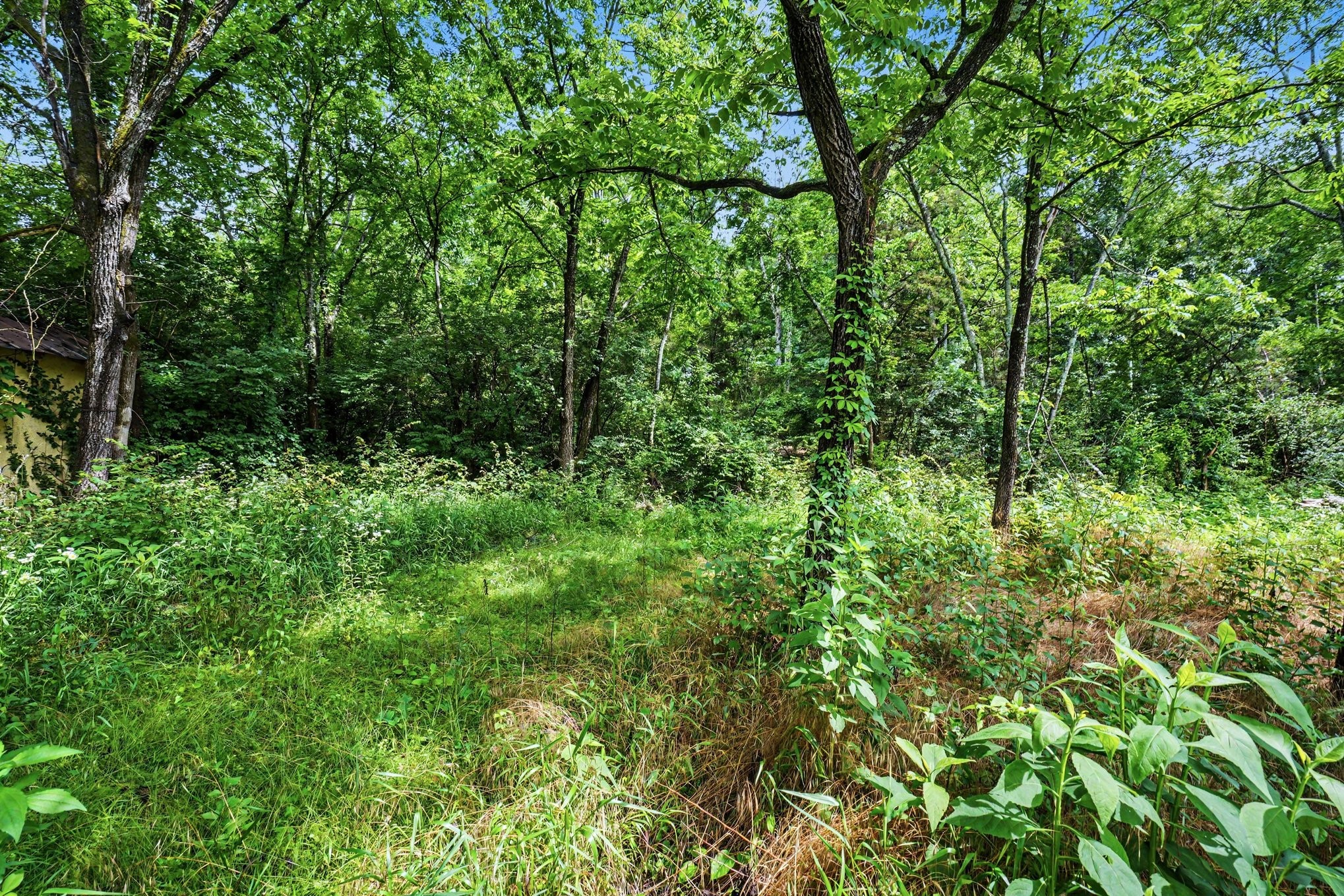 5986 Mount View Rd Property Photo 13