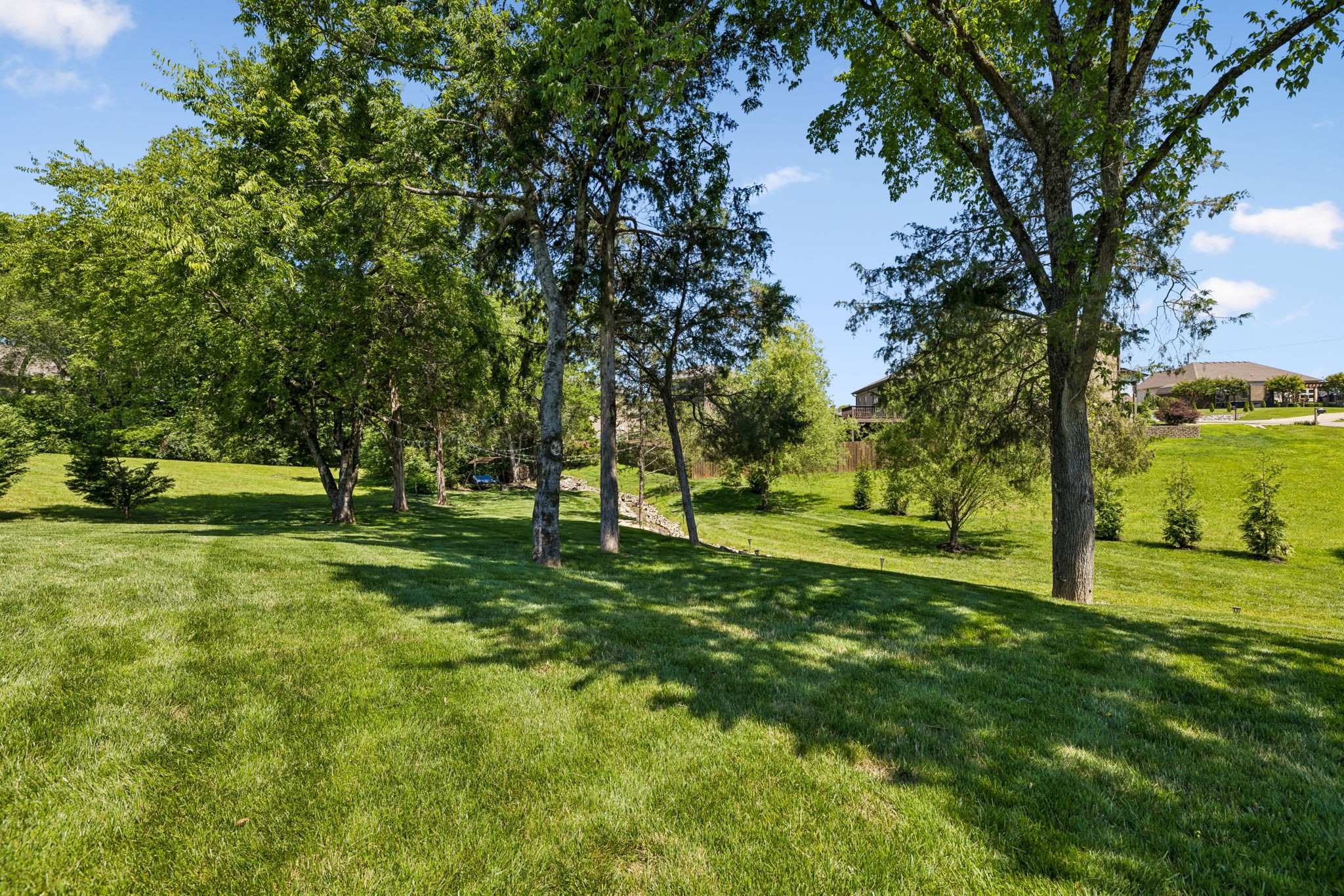 5153 Vinnie Dell Dr Property Photo 52