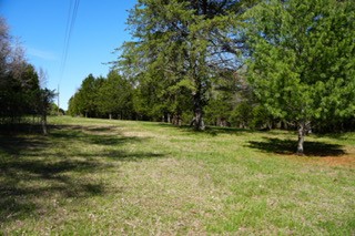 6790 Flat Creek Rd Property Photo 1