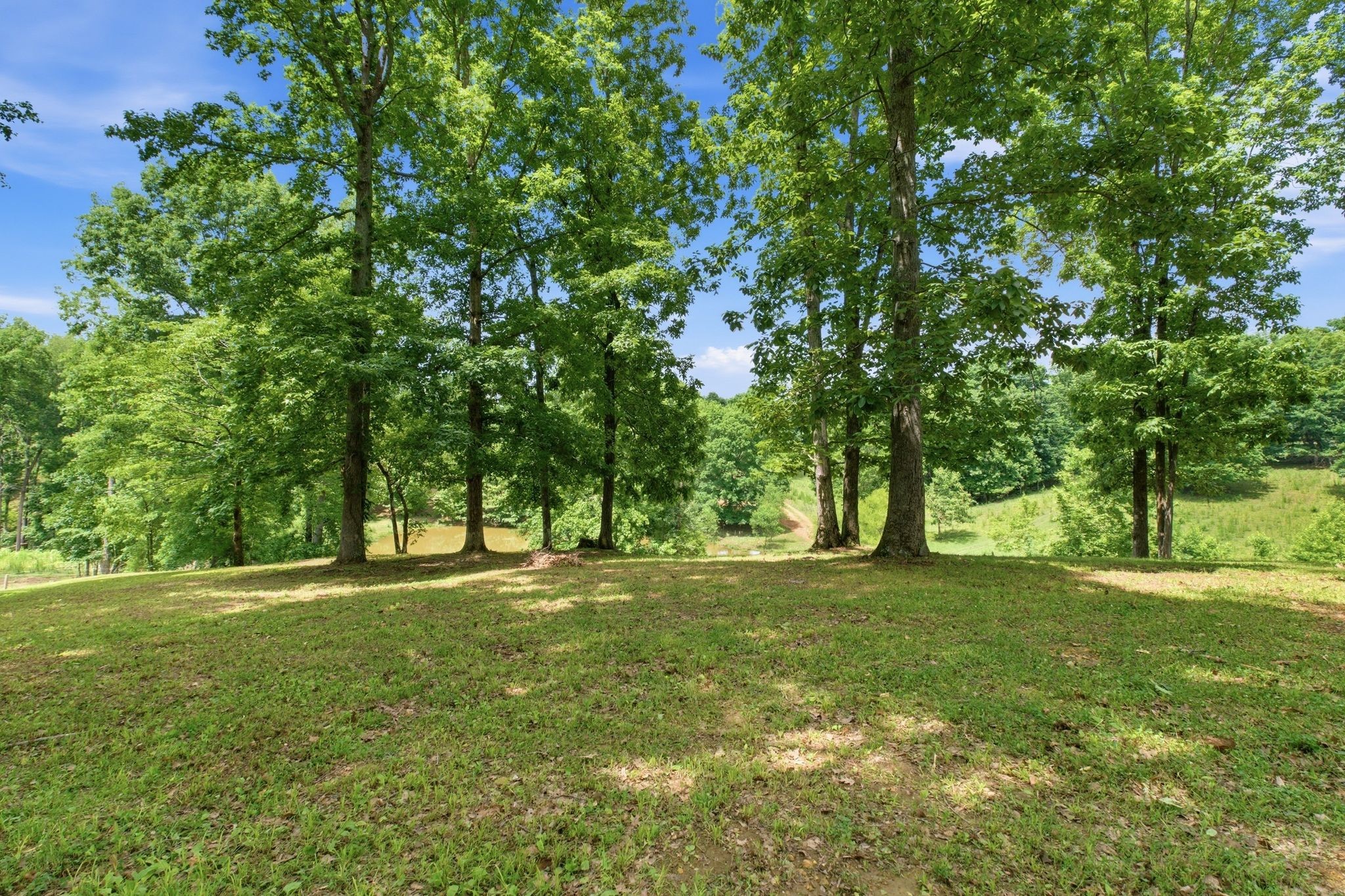 925 Sumac Rd Property Photo 48