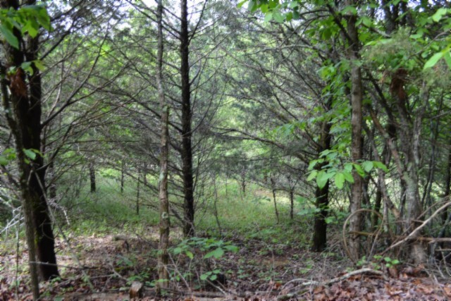 0 Circle Road Property Photo 1