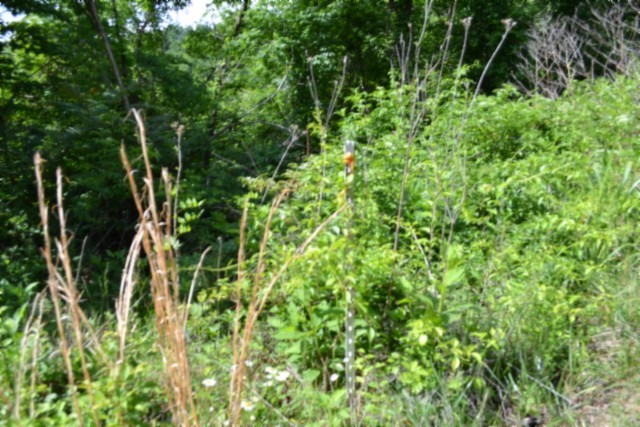 0 Circle Road Property Photo 2