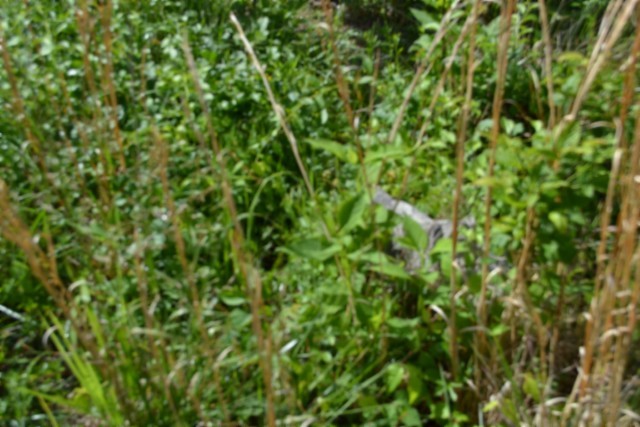 0 Circle Road Property Photo 3
