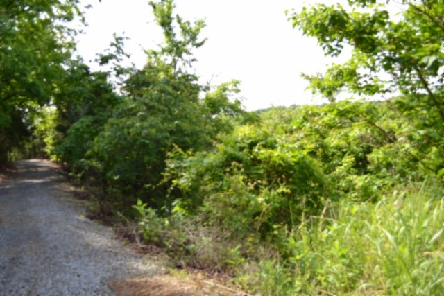0 Circle Road Property Photo 6