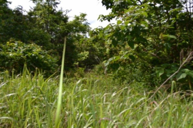 0 Circle Road Property Photo 7
