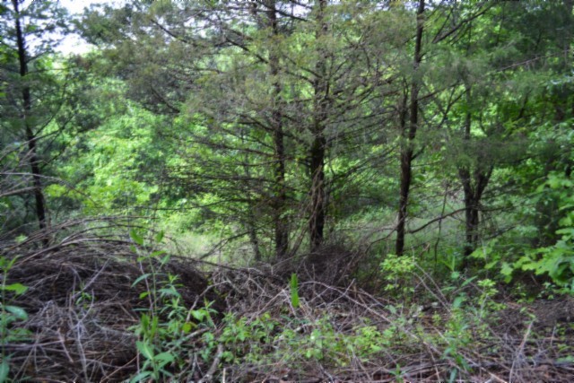 0 Circle Road Property Photo 13