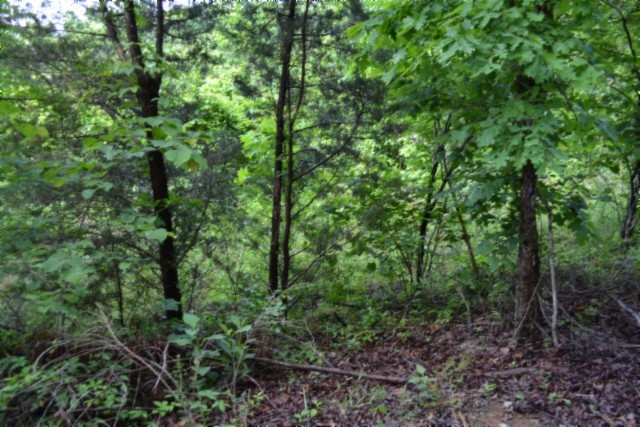 0 Circle Road Property Photo 15