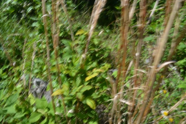 0 Circle Road Property Photo 17