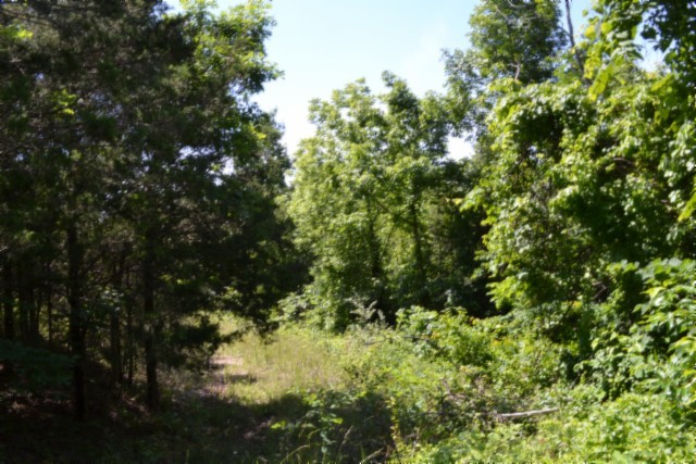 0 Circle Road Property Photo 18