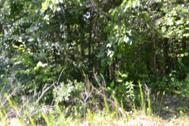 0 Circle Road Property Photo 19