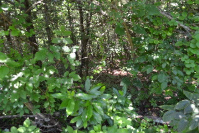 0 Circle Road Property Photo 20