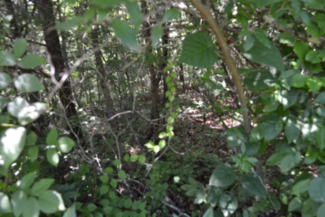 0 Circle Road Property Photo 21