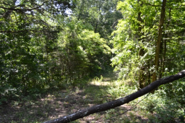 0 Circle Road Property Photo 22