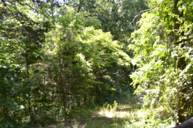 0 Circle Road Property Photo 23