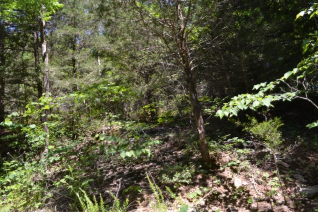 0 Circle Road Property Photo 24