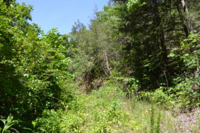 0 Circle Road Property Photo 25