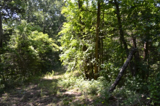 0 Circle Road Property Photo 26