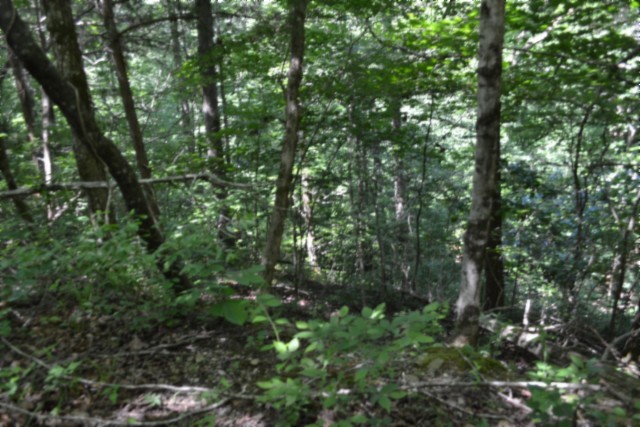 0 Circle Road Property Photo 32