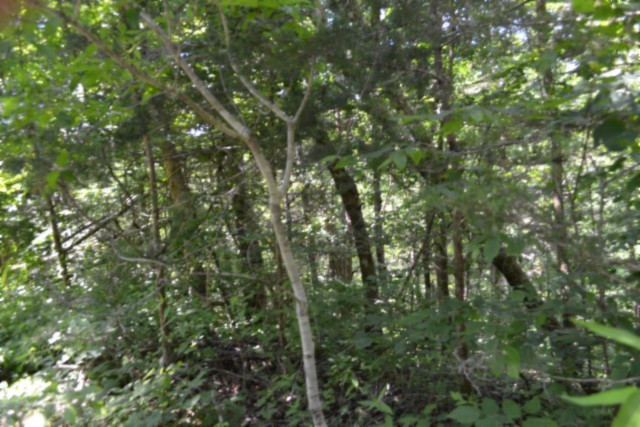 0 Circle Road Property Photo 37