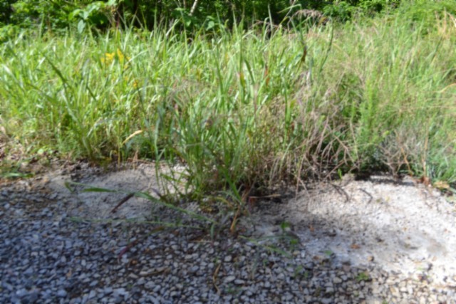 0 Circle Road Property Photo 39