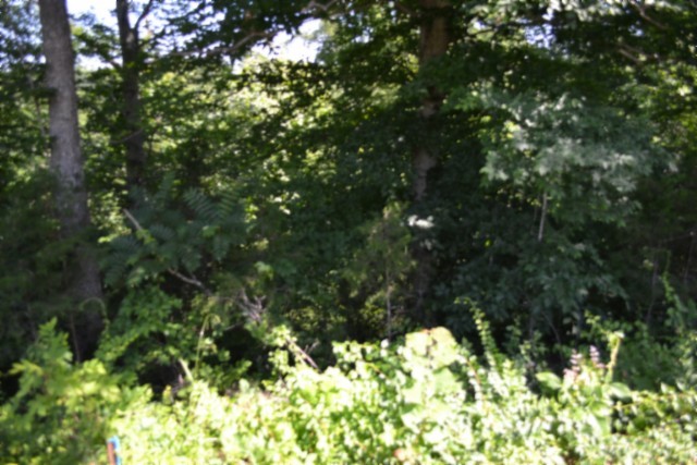 0 Beauchamp Rd Property Photo 6