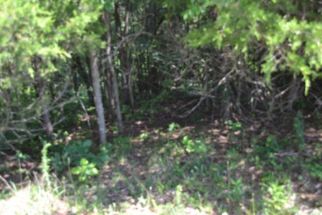 0 Beauchamp Rd Property Photo 10
