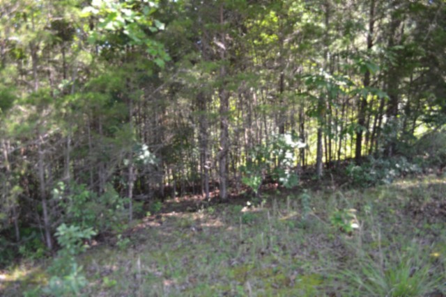 0 Beauchamp Rd Property Photo 11