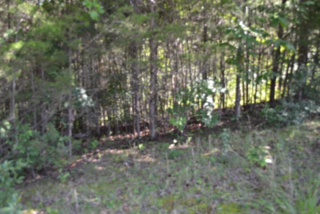 0 Beauchamp Rd Property Photo 12