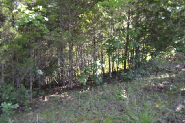 0 Beauchamp Rd Property Photo 13
