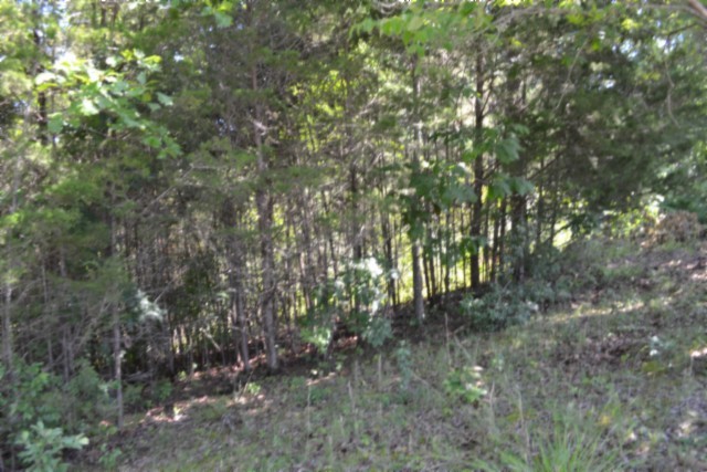 0 Beauchamp Rd Property Photo 14