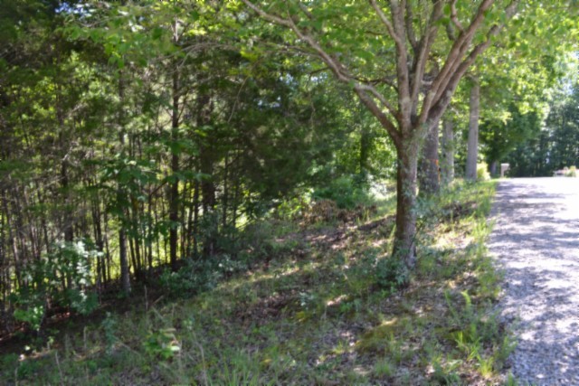 0 Beauchamp Rd Property Photo 16