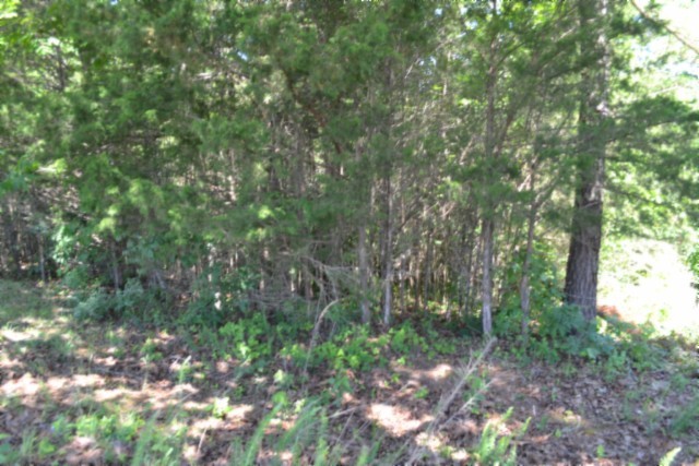 0 Beauchamp Rd Property Photo 17