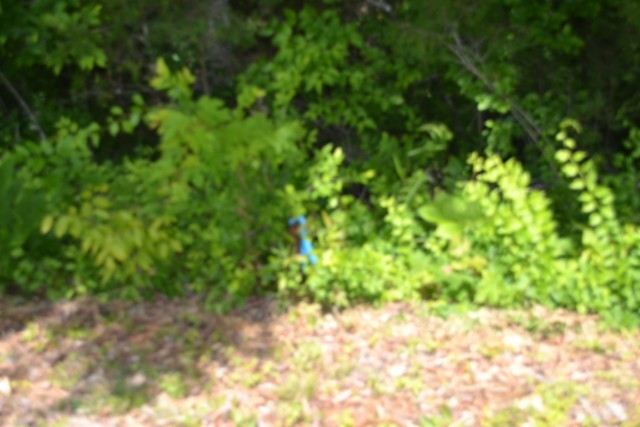 0 Beauchamp Rd Property Photo 21