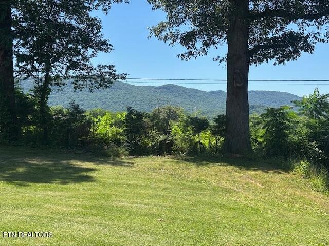 194 Patton Lane Property Photo 3