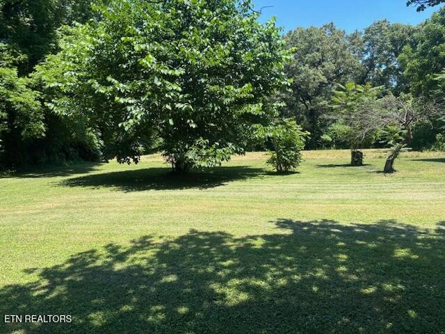 194 Patton Lane Property Photo 6