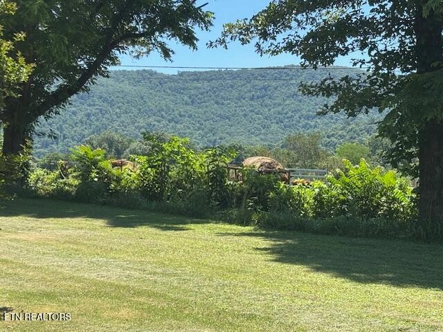 194 Patton Lane Property Photo 24