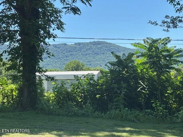 194 Patton Lane Property Photo 25